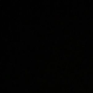 Meet your Posher, Roy